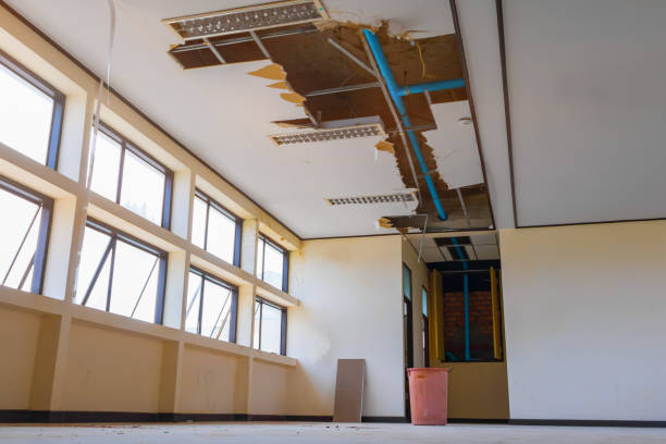 Best Professional water damage repair  in Fritz Creek, AK
