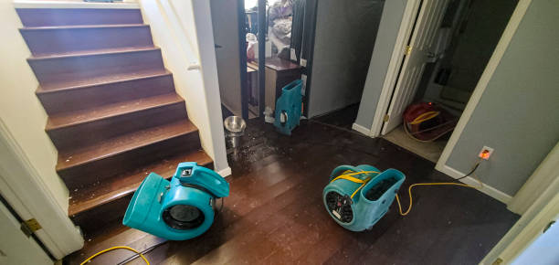 Best Water damage restoration near me  in Fritz Creek, AK