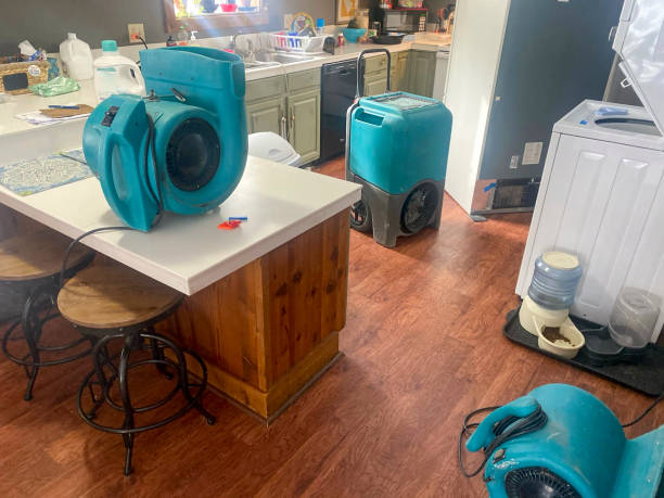 Best Fire Damage Restoration  in Fritz Creek, AK
