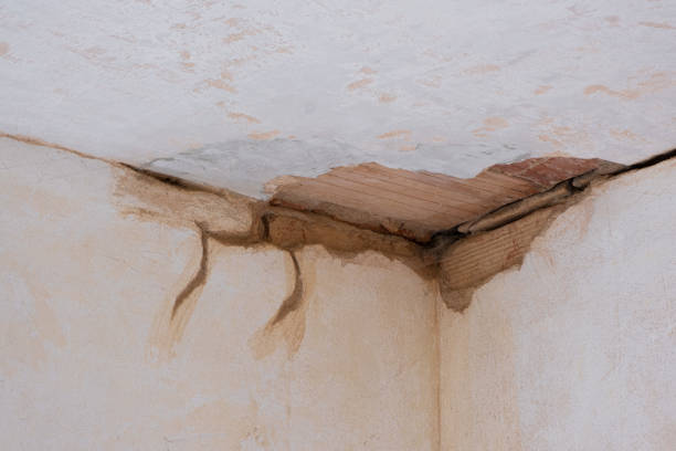 Best Water damage cleanup near me  in Fritz Creek, AK