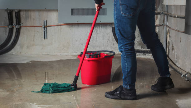 Best Water damage mitigation services  in Fritz Creek, AK