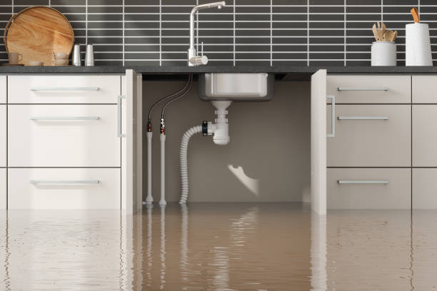 Best Mold removal after water damage  in Fritz Creek, AK