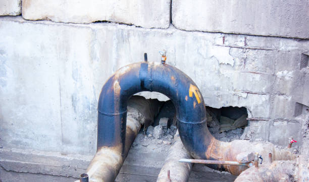 Best Flood restoration services  in Fritz Creek, AK