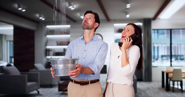 Best Sewage cleanup and water damage restoration  in Fritz Creek, AK