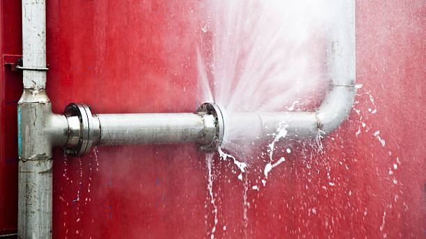 Best Water damage cleanup near me  in Fritz Creek, AK